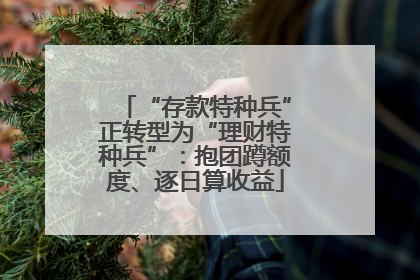 “存款特种兵”正转型为“理财特种兵”：抱团蹲额度、逐日算收益